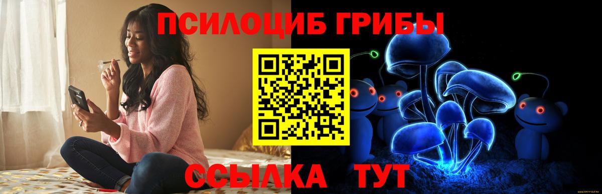 Азнакаево  Псилоцибиновые грибы мицелий  Псилоцибиновые грибы мухоморы  Вход с VPN 
